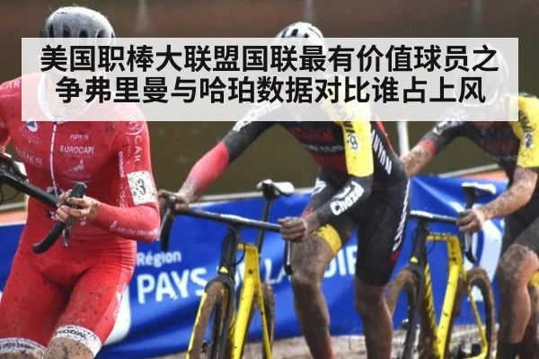 美国职棒大联盟国联最有价值球员之争弗里曼与哈珀数据对比谁占上风